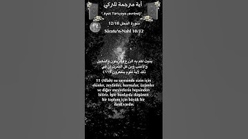 سورة النحل 12/10 turk/arab