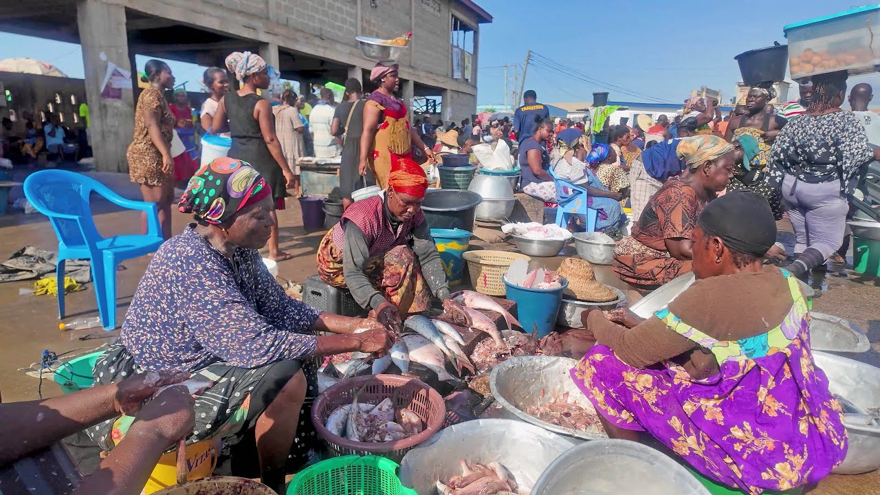 INSIDE FISH MARKET IN GHANA ELMINA