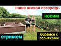 Стрижем нашу живую изгородь и газон. Боремся с сорняками и травой!