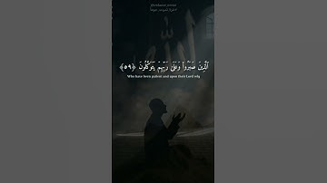 (ٱلَّذِينَ صَبَرُوا۟ وَعَلَىٰ رَبِّهِمْ يَتَوَكَّلُونَ) جزء من سورة العنكبوت للقارئ (عبدالرحمن مسعد)