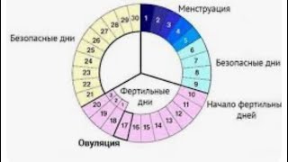 Что нужно знать, чтобы забеременеть? Фертильное/овуляторное окно и беременность.