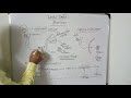 Class X Life science