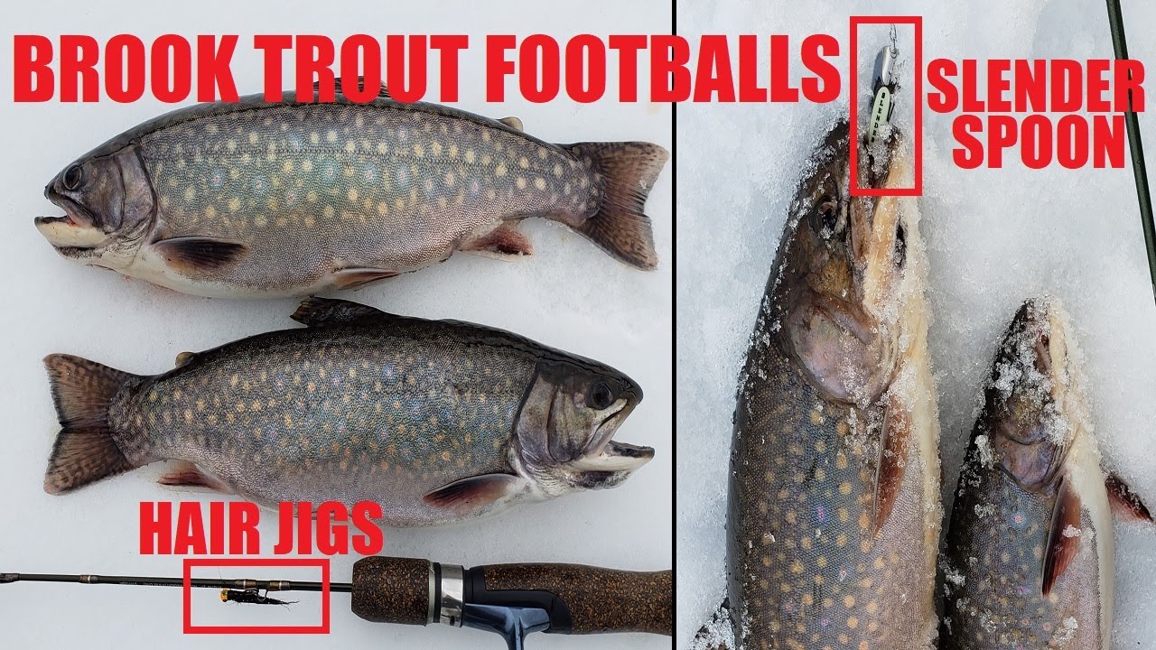 trout ice fishing rigs