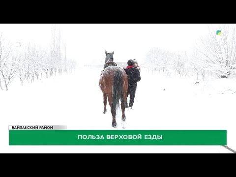 Польза верховой езды
