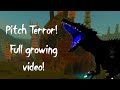 Growing Pitch Terror!! (NEW Glitch?!?!?!) Roblox Dinosaur Simulator