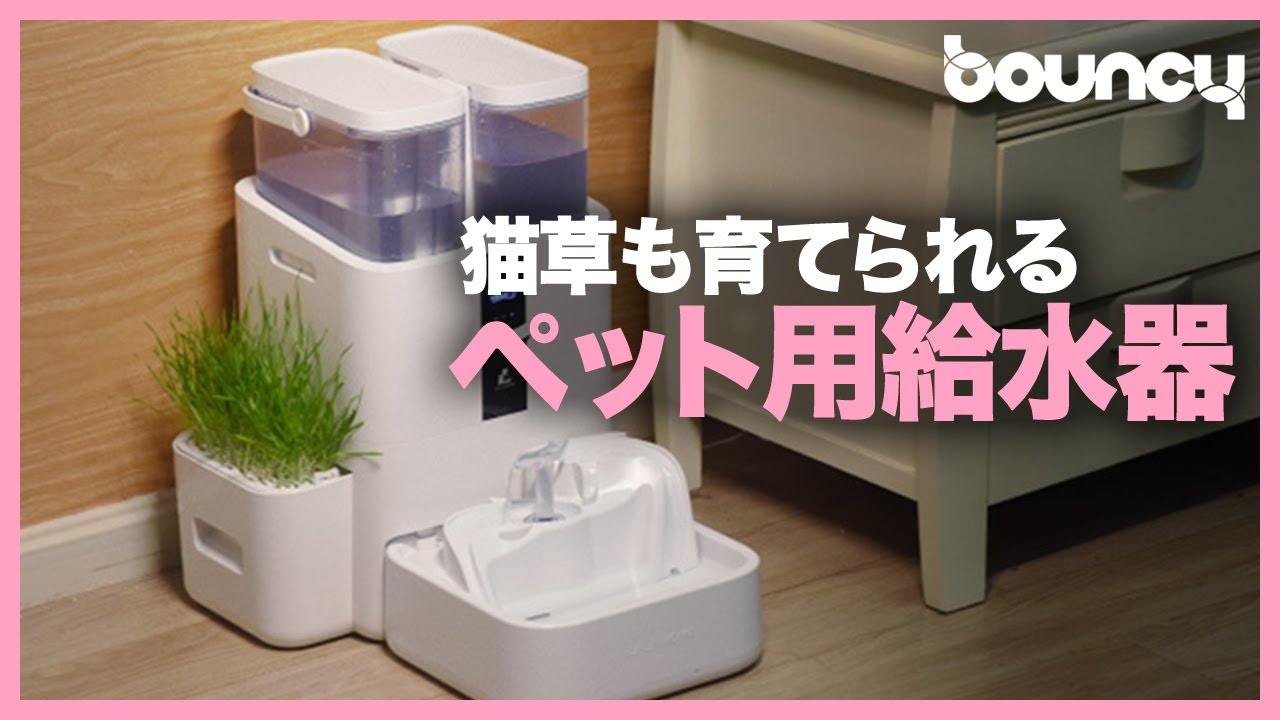 エルフィン給水器 本体+フィルター8個セット 【公式通販】