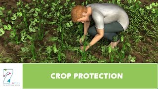 CROP PROTECTION