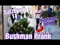 Bushman Prank - Salzburg Teil 11