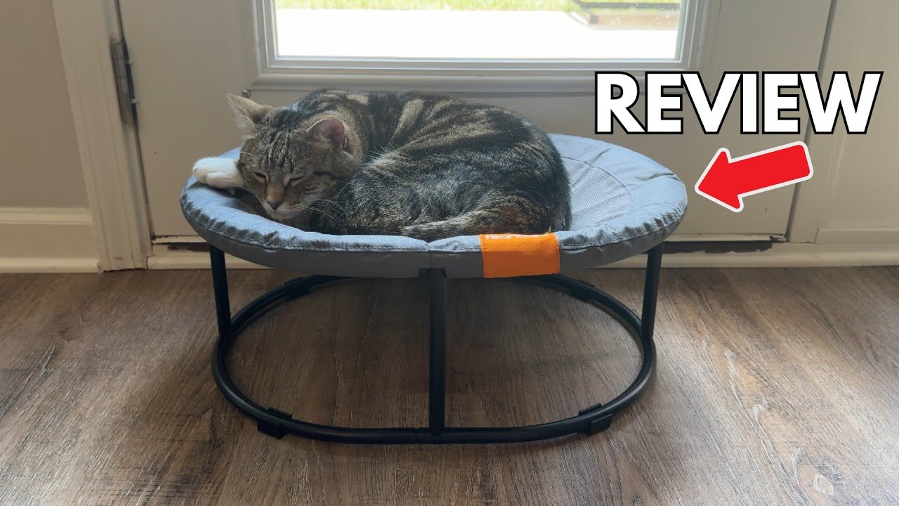 Feandrea Elevated Cat Bed - Full Review