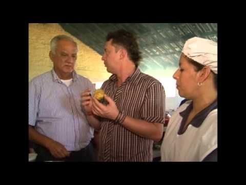 RESTAURANTE HACIENDA VENECIA 1 COLOMBIA A LA CARTA cocina abierta