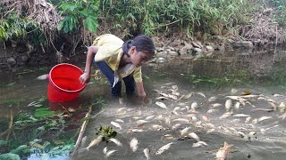 Orphan Girl Goes To The Forest Harvest Fish and Snails To Sell - Homeless Life, Free Bushcraft