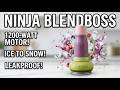 Ninja BlendBoss Mixer - Quick Smoothies on the go.