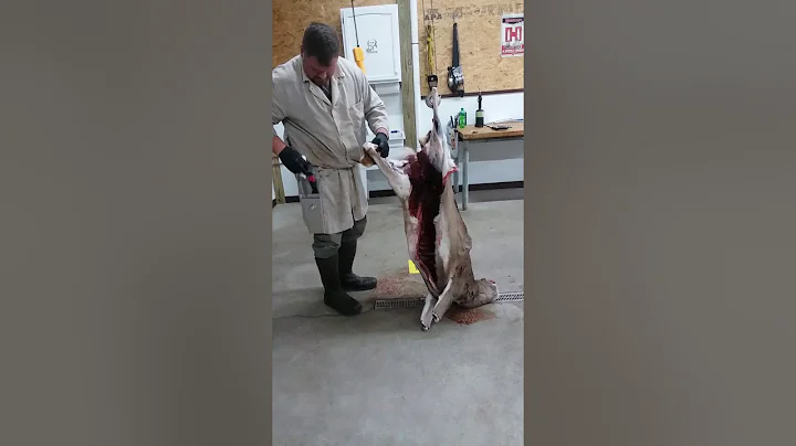 Part 1 - Skinning a deer fast from beginning to end