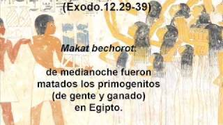 La Biblia Correcta? El Ejemplo De Las Diez Plagas De Egipto