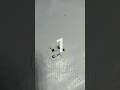 LED bulb ki light se banaa robot#short