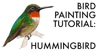 Painting a hummingbird in watercolor | painting demo