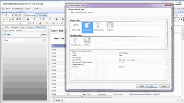 Input Controls on Business Objects 3.1