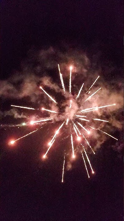 1 august feuerwerk wil sg