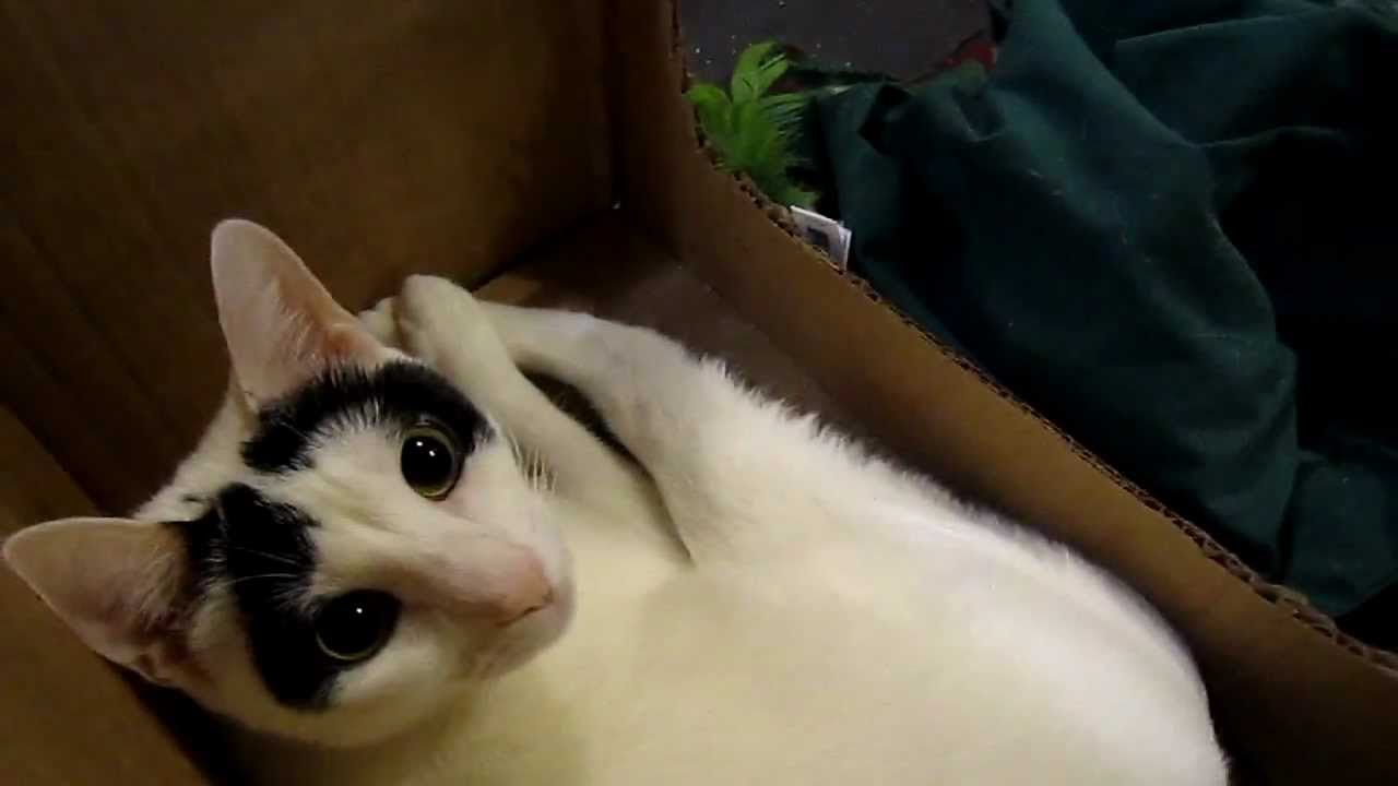 nature wildlife preserve Beautiful Bethie ADOPTED!!!!!