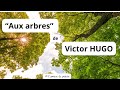 Victor hugo aux arbres  si vous aimez les arbres ce pome damour pour  eux vous ressourcera 