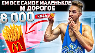 24 ЧАСА ЕМ ВСЕ САМОЕ ДОРОГОЕ И МАЛЕНЬКОЕ! 8000 КАЛОРИЙ Челлендж!