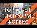 Заработок на Форекс брокере Forex4you через партнерскую программу. Без вложений