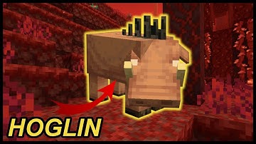 What Do Hoglins Do In Minecraft 1.16?