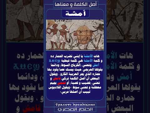 أصل الكلمة و معناها أمشة