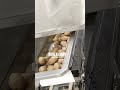 Vibratory Grading Weighing Machine | One-Step Grading, Weighing & Packaging for Materials