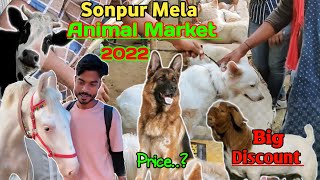 Sonpur Mela 2022 || Dog Market | Bakra Market || सोनपुर मेला के कुत्ता  बाजार में है सबसे ज्यादा भीड़ - YouTube