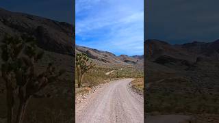 Utah Desert Adventure - Joshua Tree Scenic Road and Aerials
