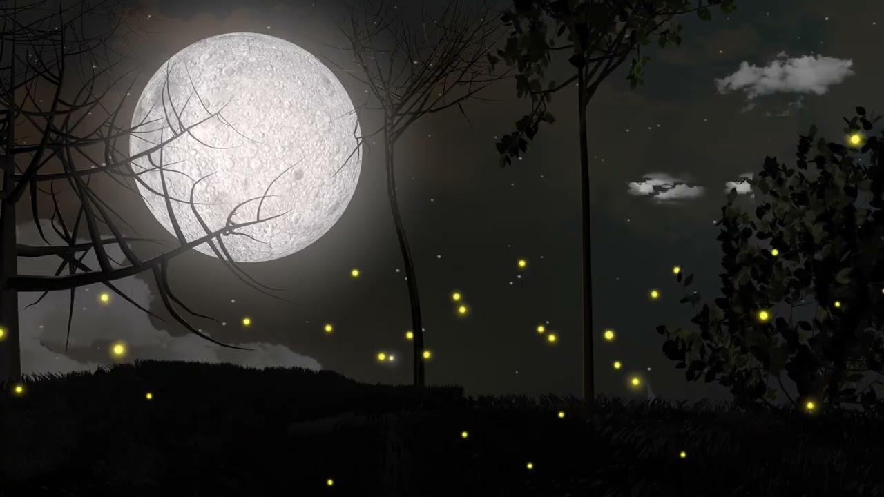 Night Forest Ambience — Wolves Howling & Owls Calling