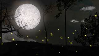 Night Forest Ambience — Wolves Howling & Owls Calling screenshot 4