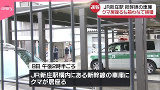 【速報】新幹線の車庫にクマ　箱わなで捕獲