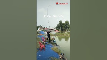 shorts / câu cá chép hồ dịch vụ #câu_dạo_tv #fish #câu_cá_chép