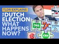 Dutch Election Results: Can Rutte Form a New Coalition? The Coalition Puzzle Explained - TLDR News