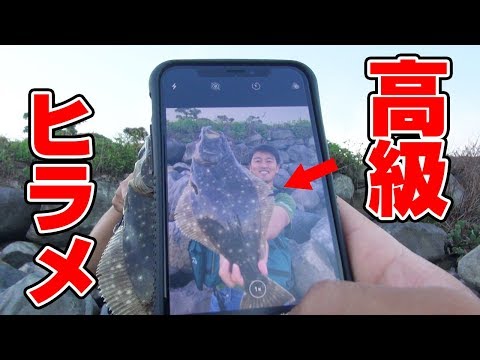 水深わずか50cmの有明海でヒラメが釣れた‼