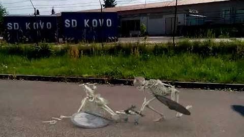 FxGuru Skeleton Warriors