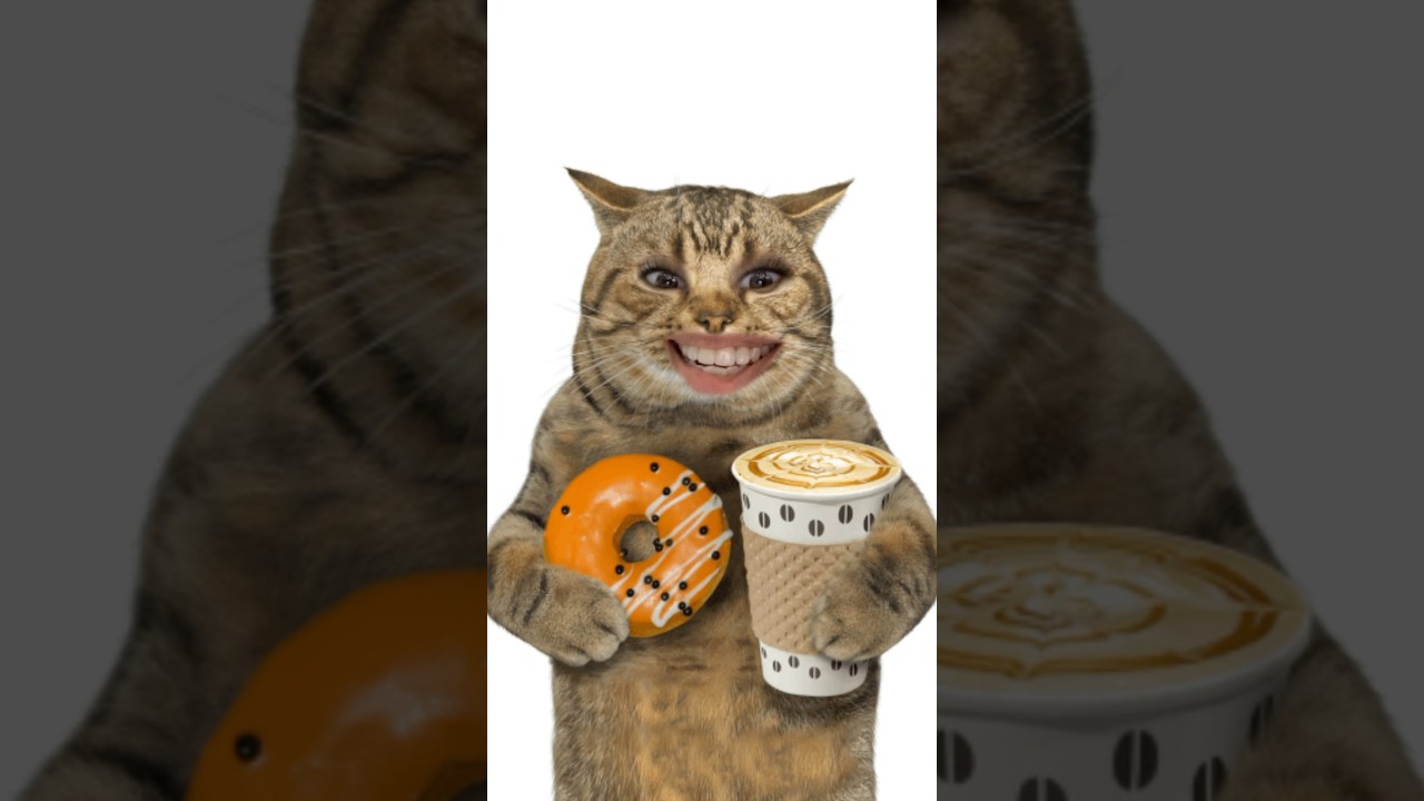 Maira gayi shadi mein 🎊😍🥰 