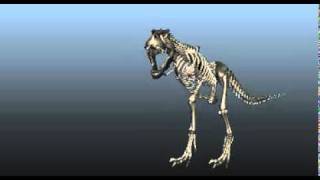 Maya Dinosaur [ Animation ]- playblast