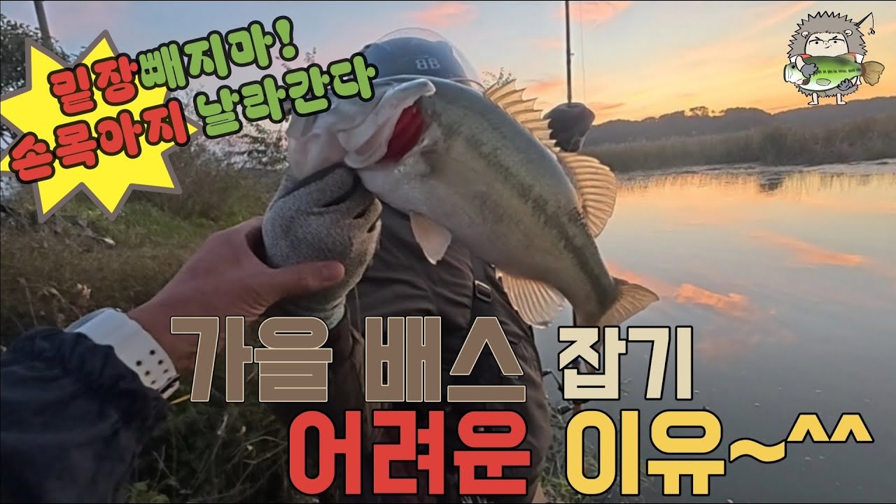 🦔 [대호만] 밑장빼지마! 손목아지 날라간다?! [ft. 외노자] ep. 25-36