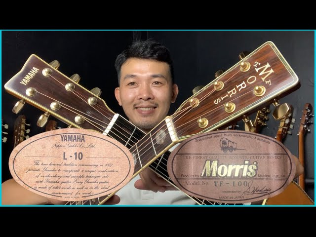 1980's made vintage Morris T.F series W-80 Solid Spruce /Ebony D45