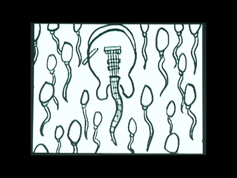 電気グルーヴ 『弾けないギターを弾くんだぜ』