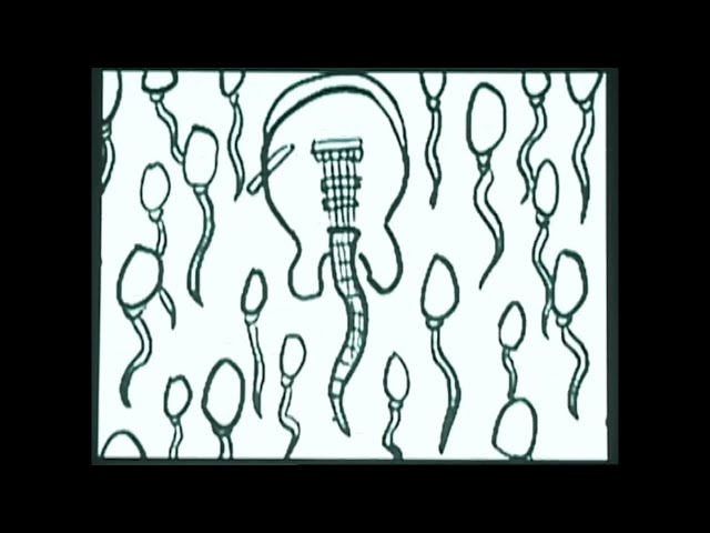 Shiva　タカミネCorder 弾き語りしようぜ！　音抜け抜群！ Shiva タカミネCorder 弾き語りしようぜ！ 音抜け抜群！ Shiva様