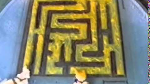 CLiC | Module 2 | Extension: Slime Mold Solving a Maze