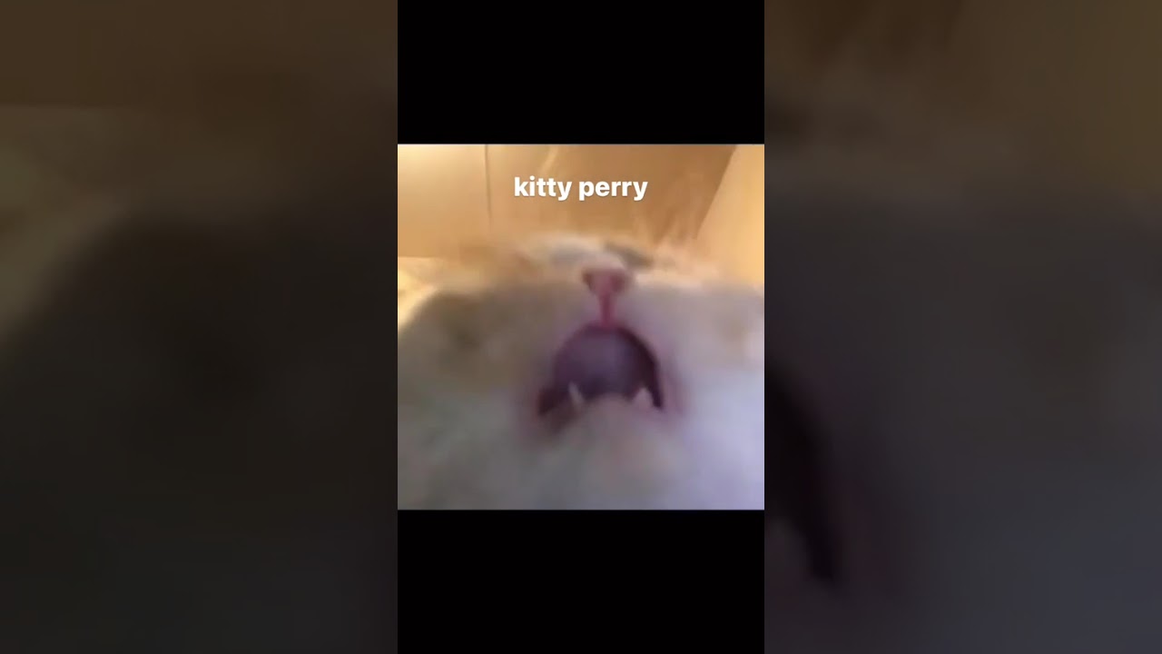 no auto tune either

-
-
-
- credit: alexrsski [tiktok] (dm for credit/removal)
tags:
