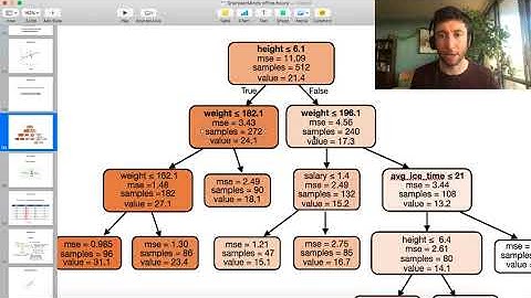 Decision trees: the most important model