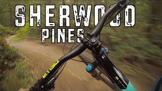 Sherwood Pines Mtb Red Route,Jumps and Downhill Trails