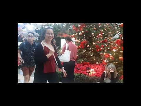 Flower Dome,Singapore Sense of "X'Mas2022😉