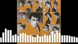 Iwan Fals - Ijinkan Aku Menyayangimu (Vocal)